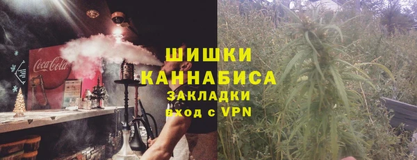 бошки Алексин