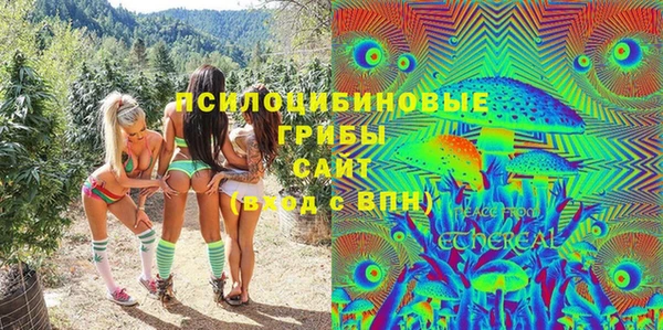 бошки Алексин