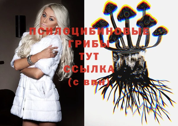 бошки Алексин