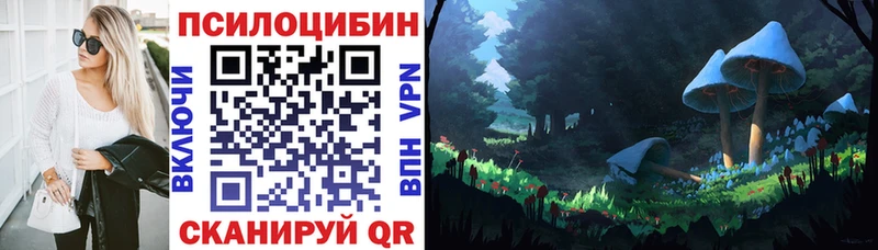 как найти закладки  Амурск  Псилоцибиновые грибы ЛСД 