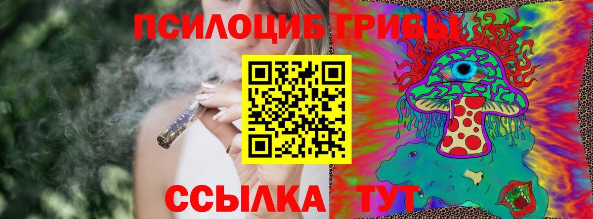 Псилоцибиновые грибы Psilocybe Амурск