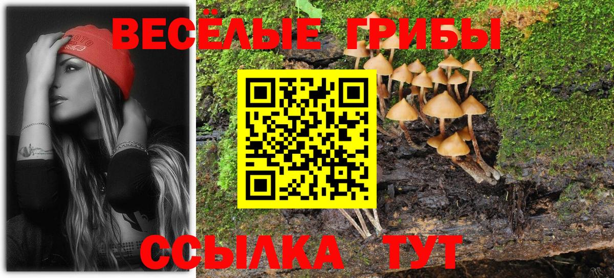 Галлюциногенные грибы прущие грибы  Вход с VPN  Амурск 